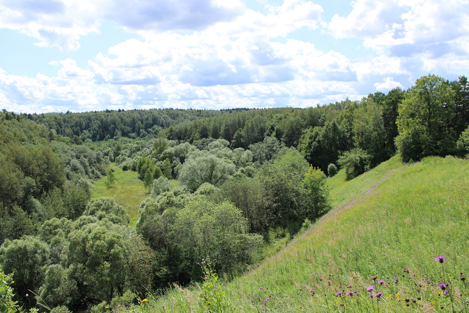 Городище Луковня