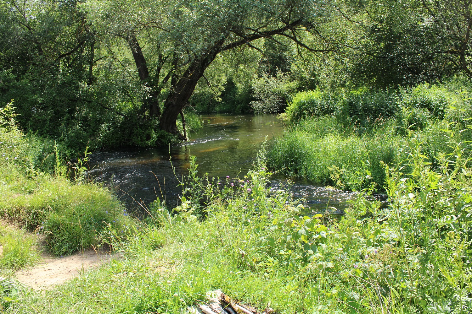 Городище Луковня