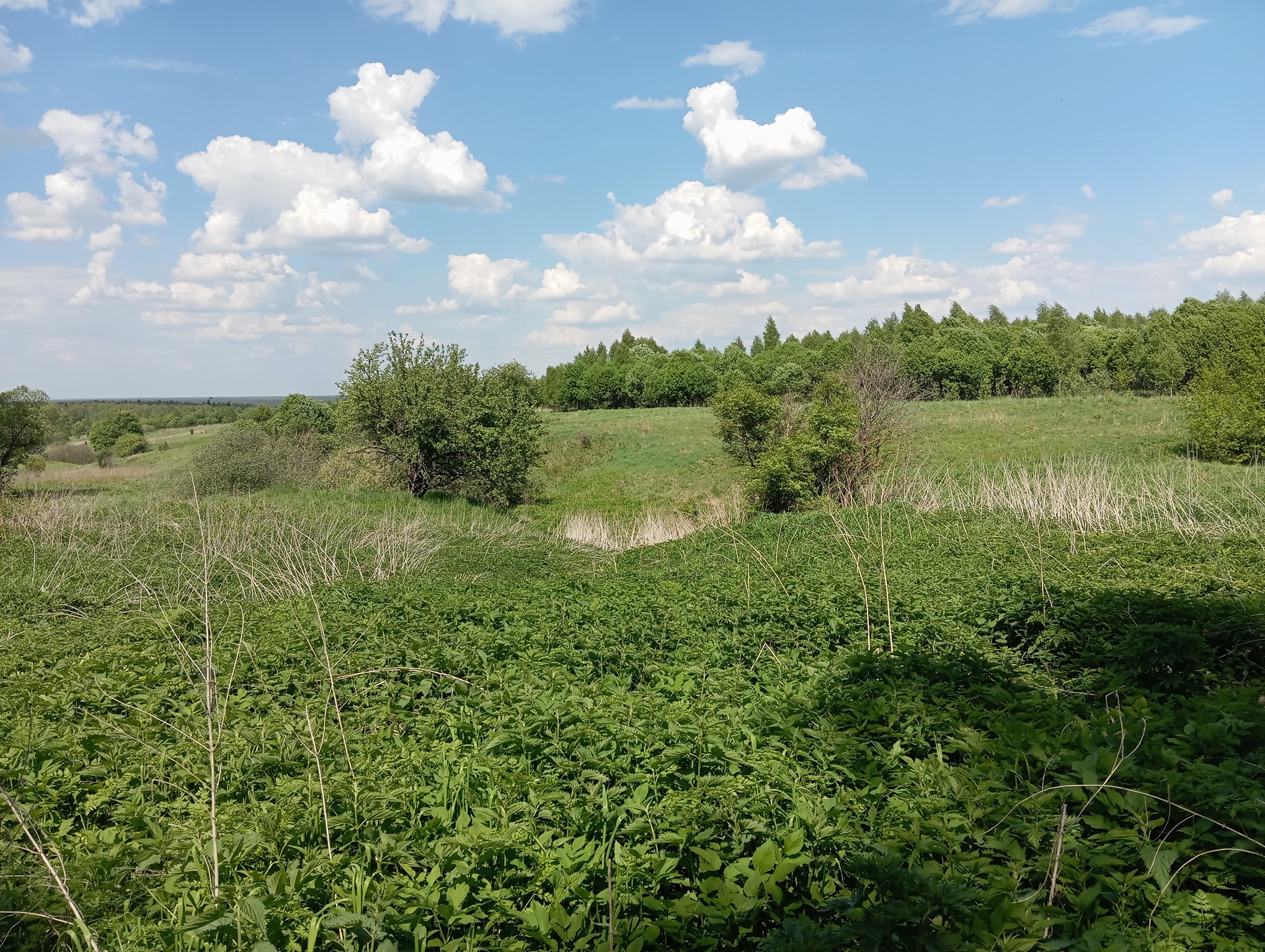Урочище Лапино