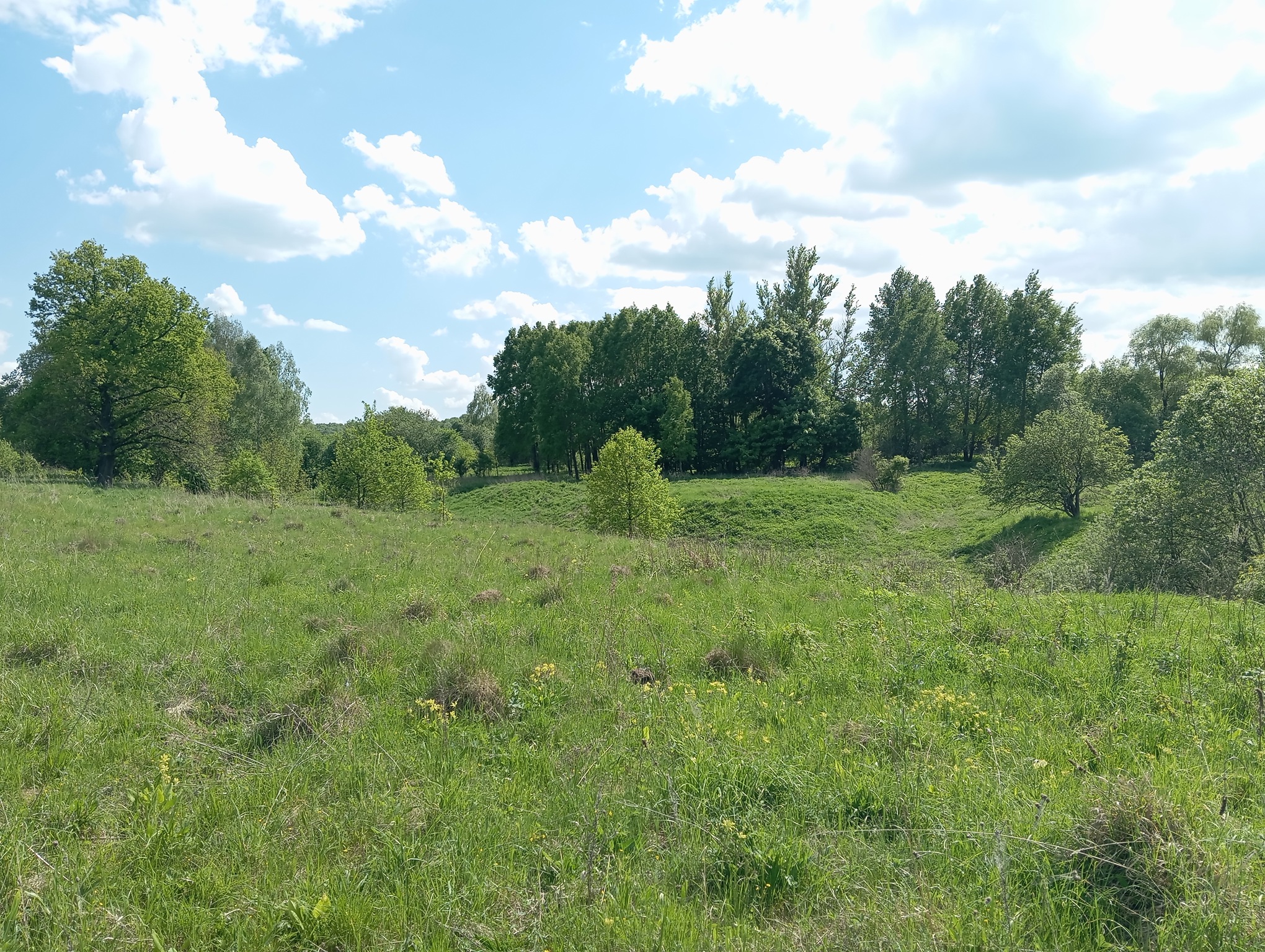 Урочище Лапино