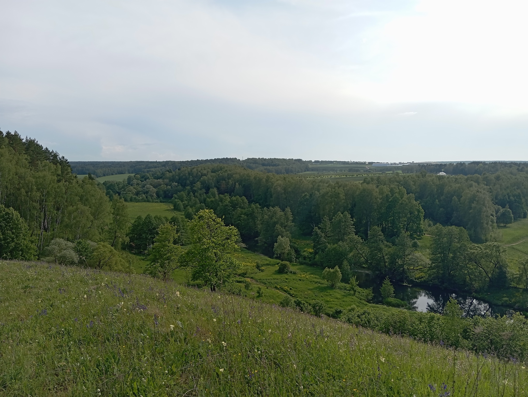 Гора Лысая
