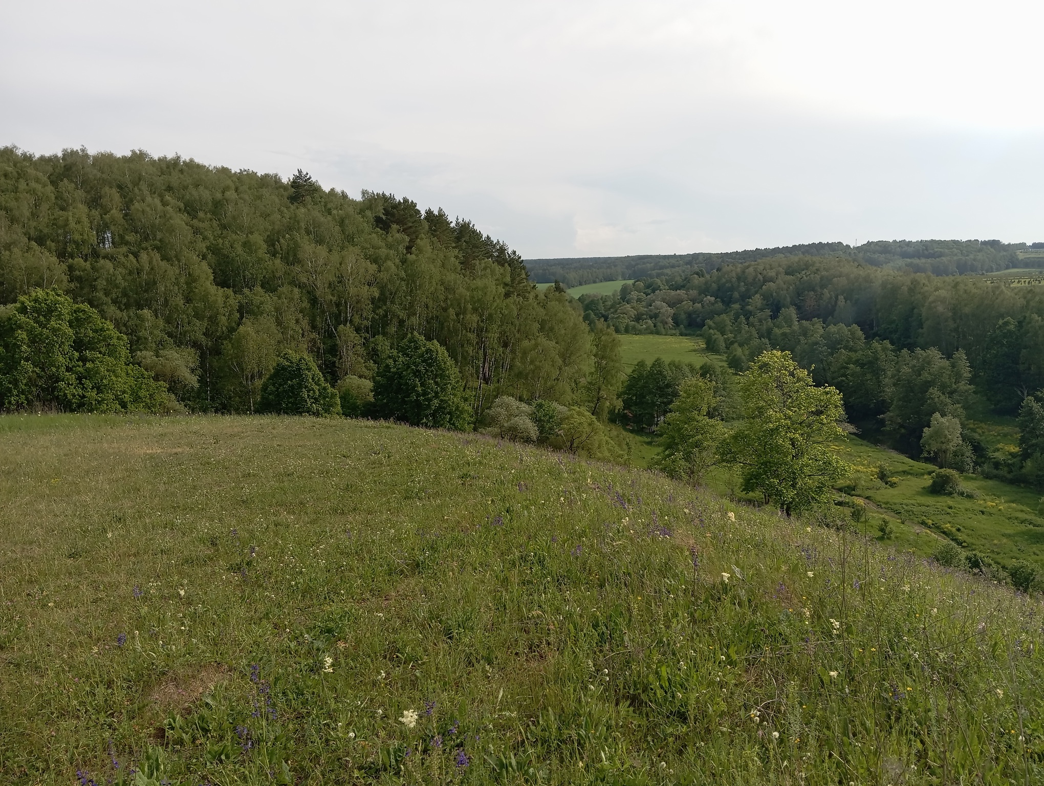 Гора Лысая