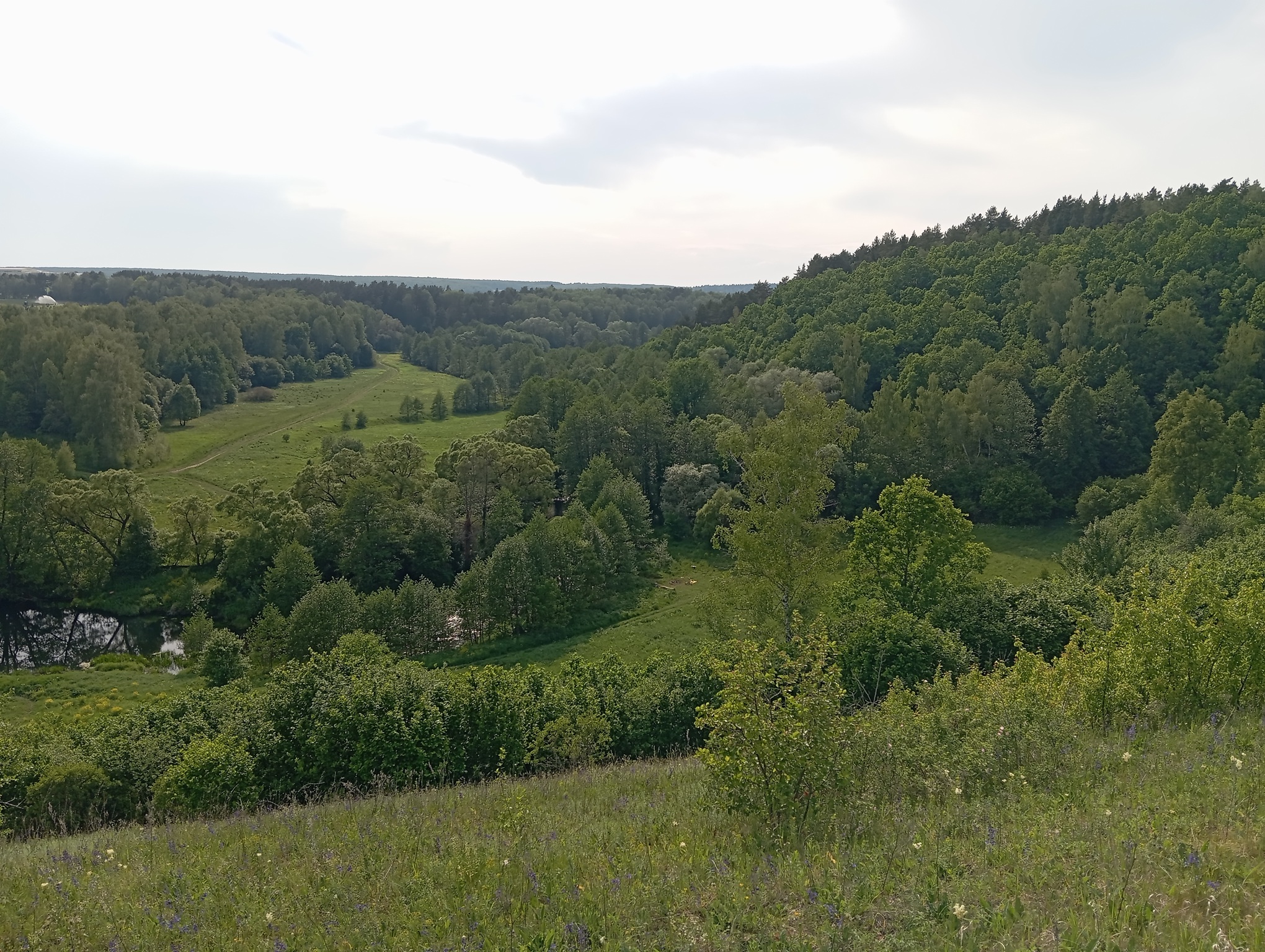 Гора Лысая