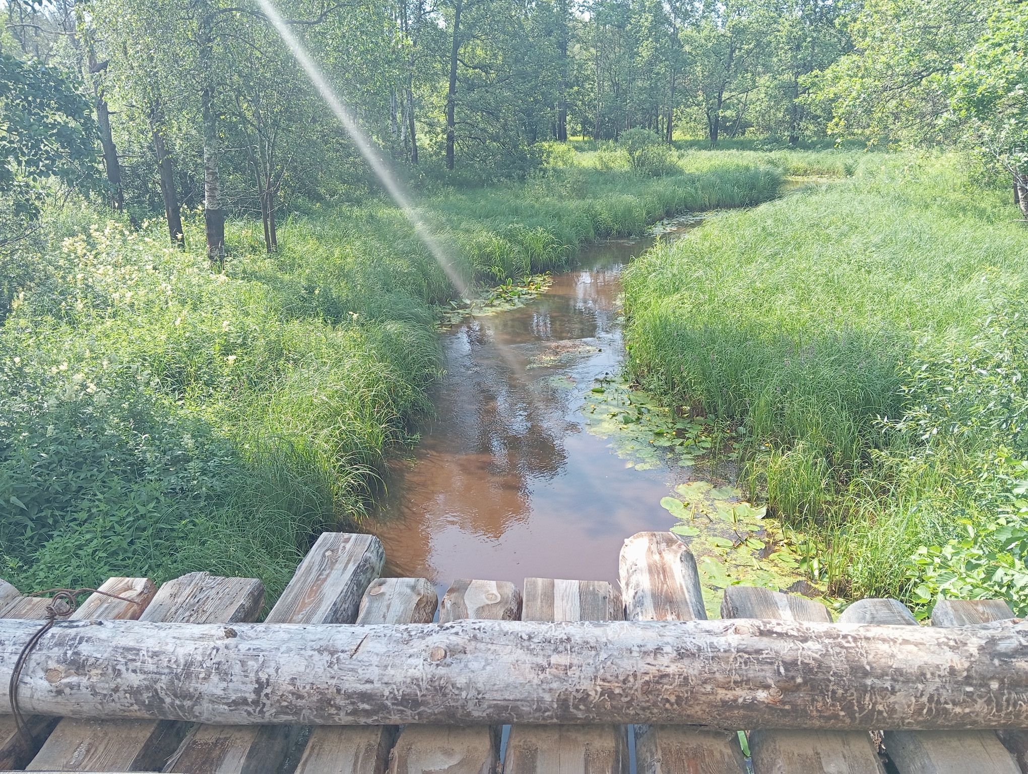 Мост через реку Сеньга